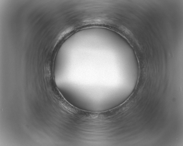 X0000078881218200612042015