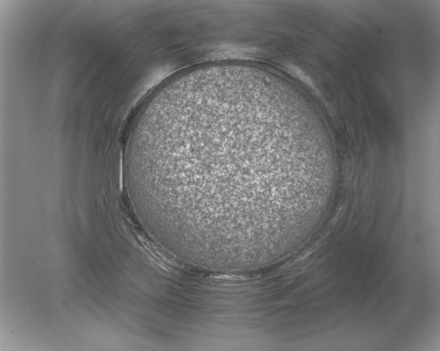 X0000078881219200612042015