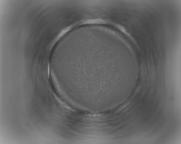 X0000078881221200612042015