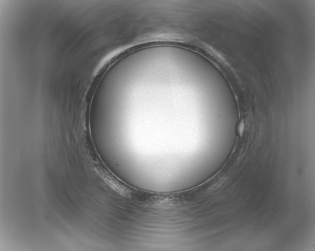 X0000078881222200612042015