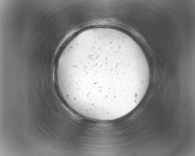 X0000078881224200612042015