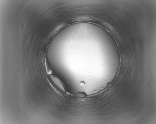 X0000078881225200612042015