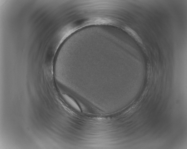 X0000078881226200612042015