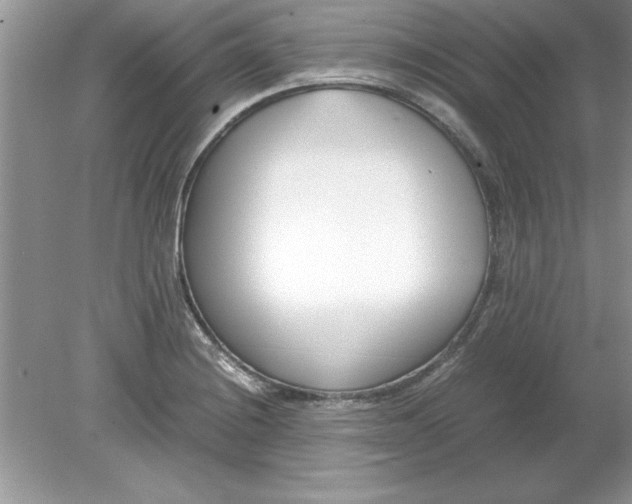 X0000078881228200612042015