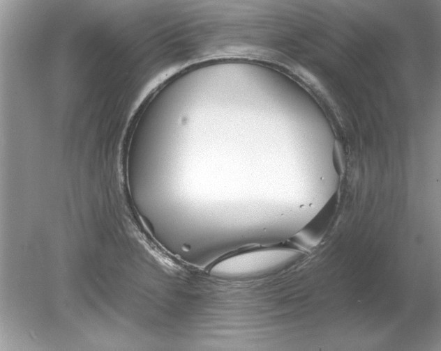 X0000078881230200612042016