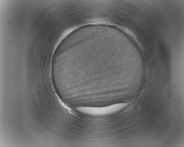 X0000078881231200612042016