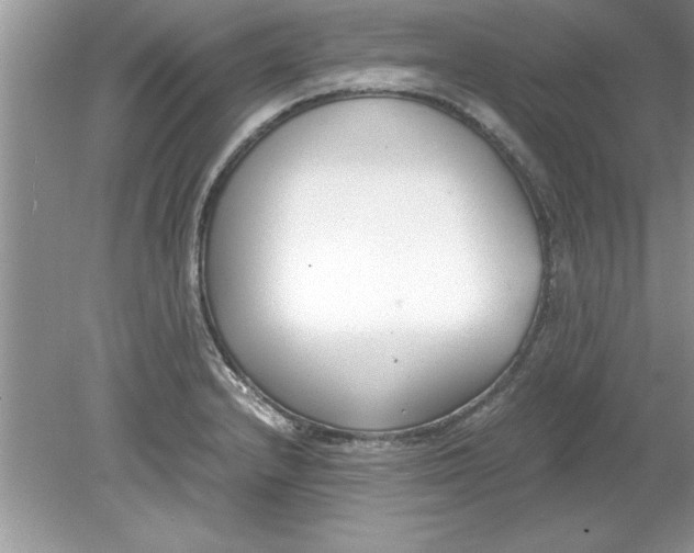 X0000078881232200612042016