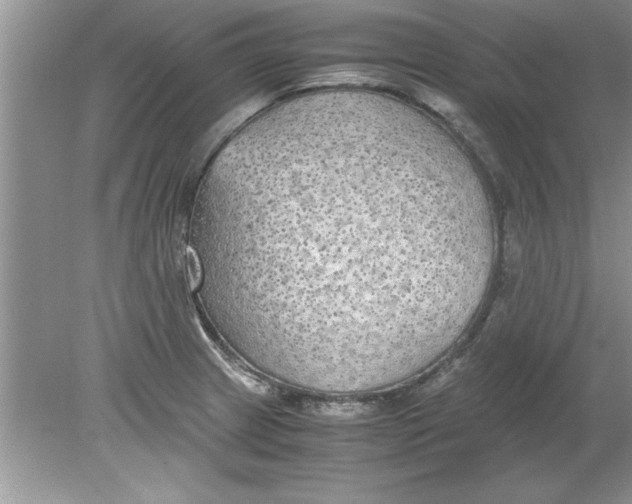 X0000078881233200612042016