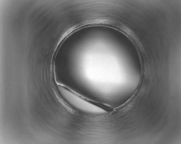 X0000078881234200612042016