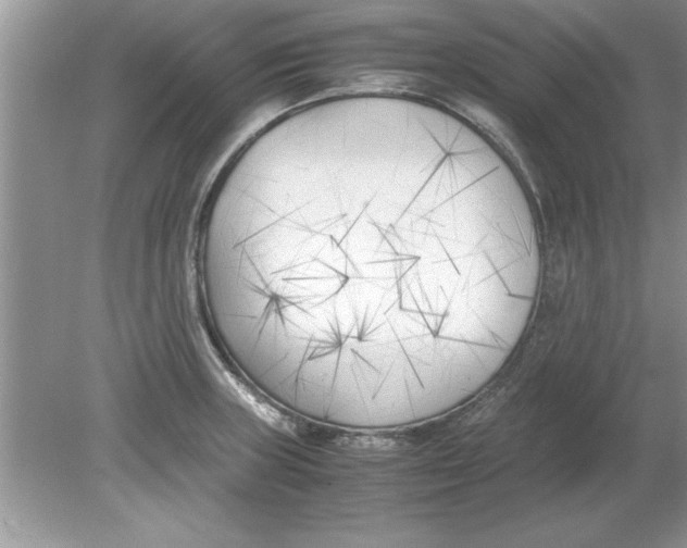 X0000078881235200612042016