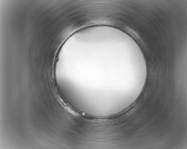 X0000078881236200612042016