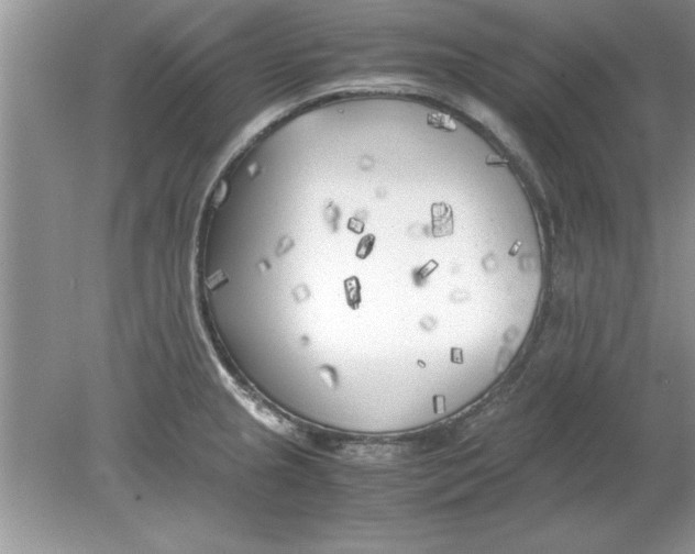 X0000078881237200612042016