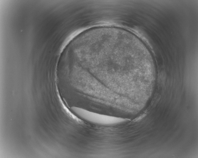 X0000078881239200612042016