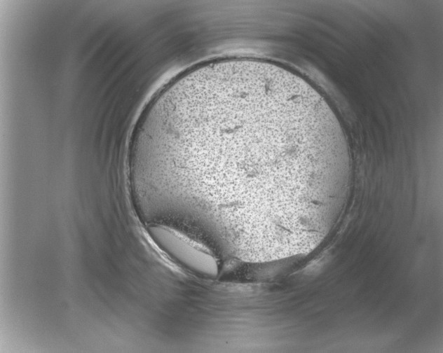 X0000078881240200612042016