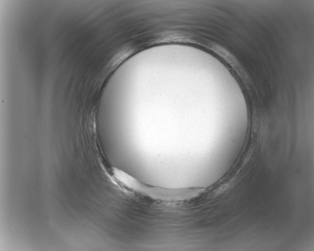 X0000078881241200612042016