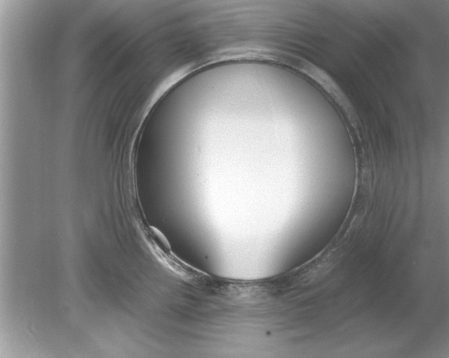 X0000078881242200612042016