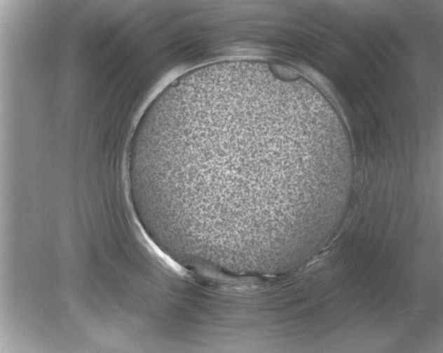 X0000078881243200612042016