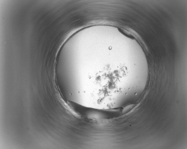 X0000078881244200612042016