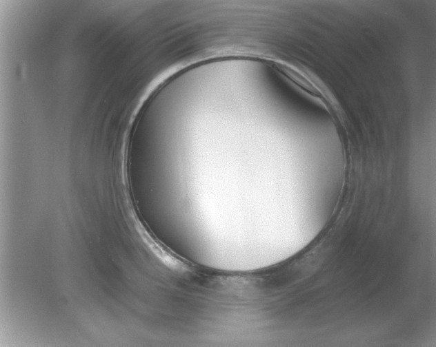 X0000078881246200612042016