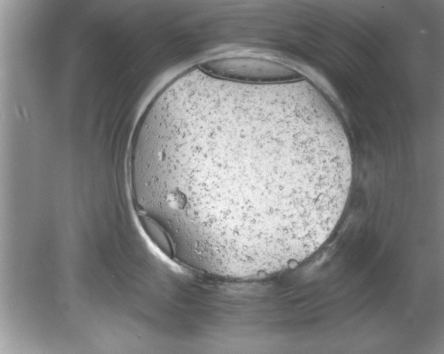 X0000078881247200612042016