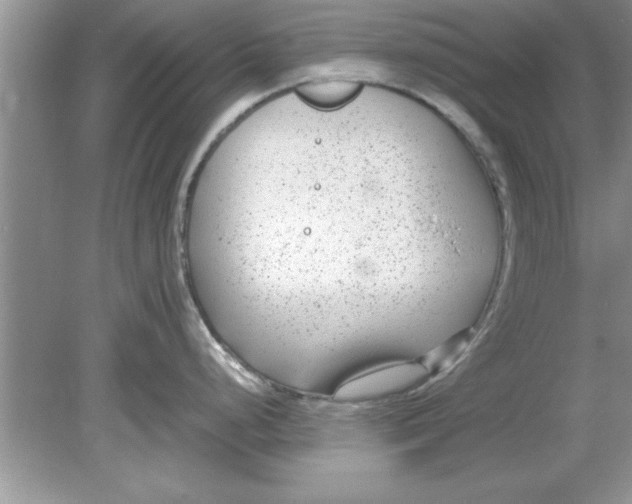 X0000078881248200612042016