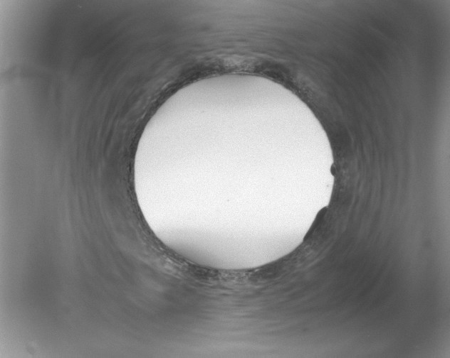 X0000078881249200612042015