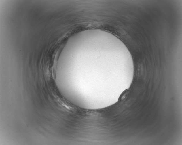 X0000078881250200612042015