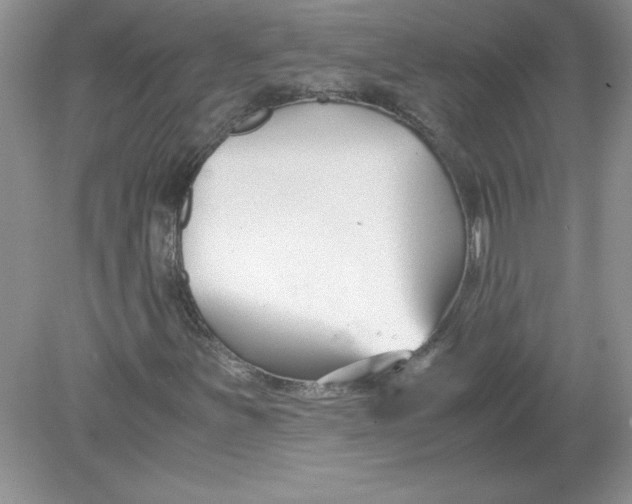 X0000078881251200612042015