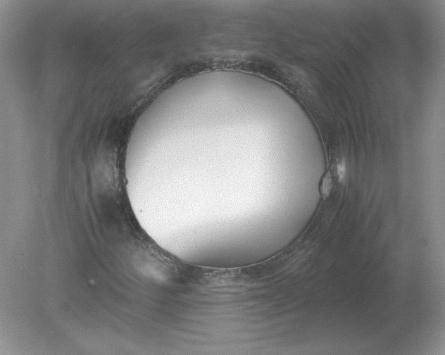 X0000078881252200612042015