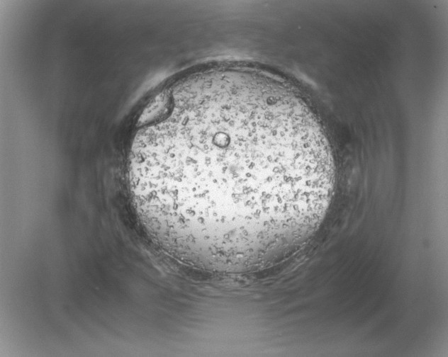 X0000078881255200612042015