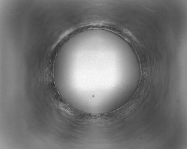 X0000078881256200612042015