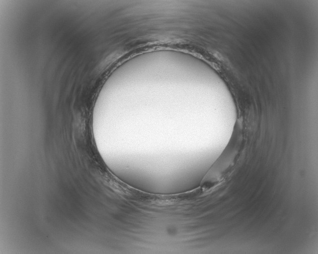 X0000078881257200612042015