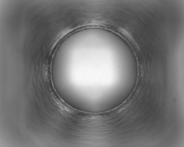 X0000078881260200612042015