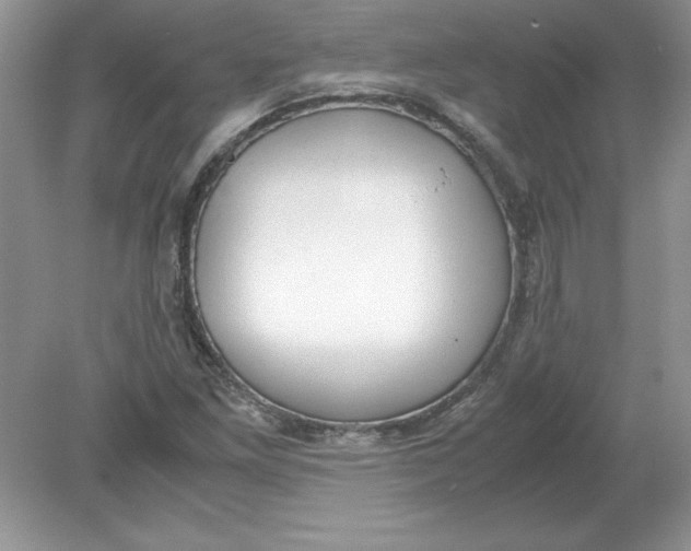 X0000078881261200612042015