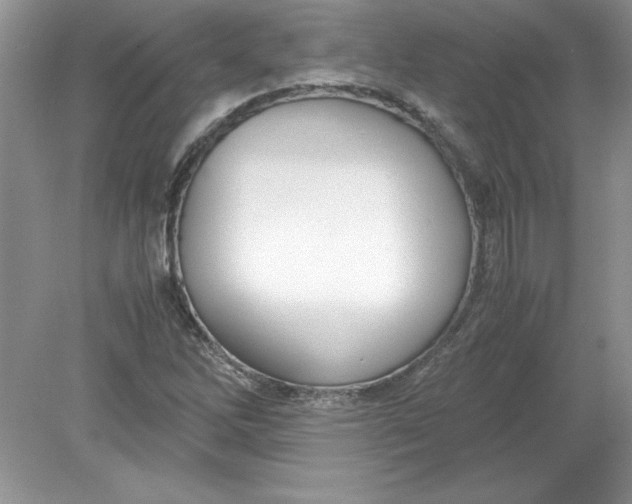 X0000078881262200612042015