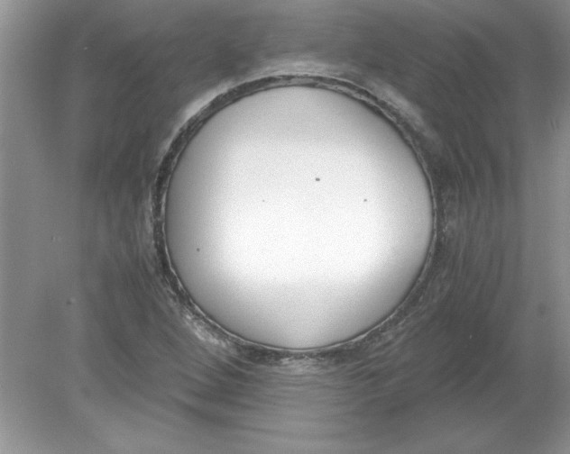 X0000078881264200612042015