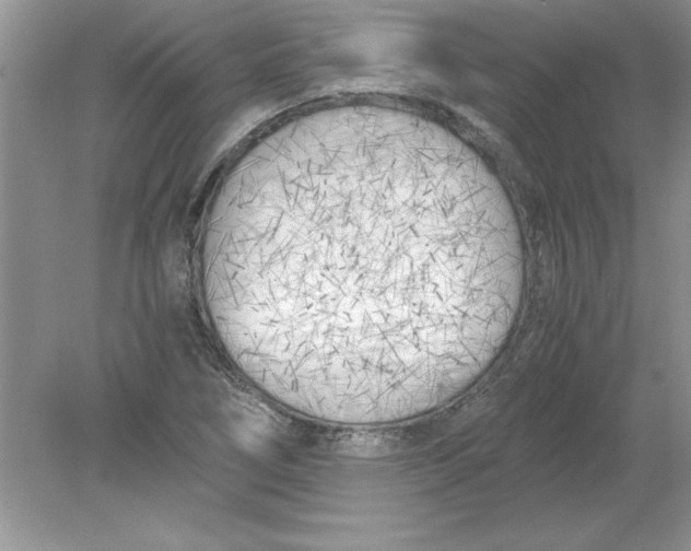 X0000078881266200612042015