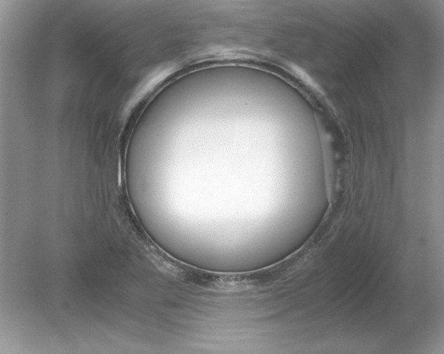 X0000078881269200612042015