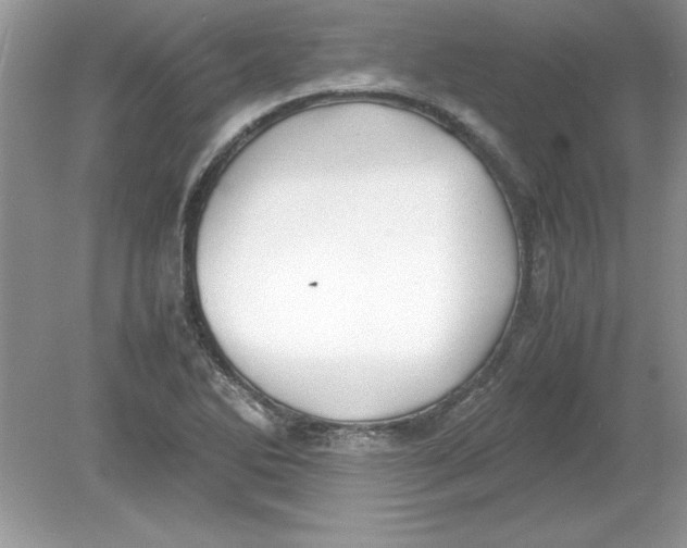 X0000078881270200612042015