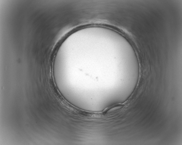 X0000078881271200612042015