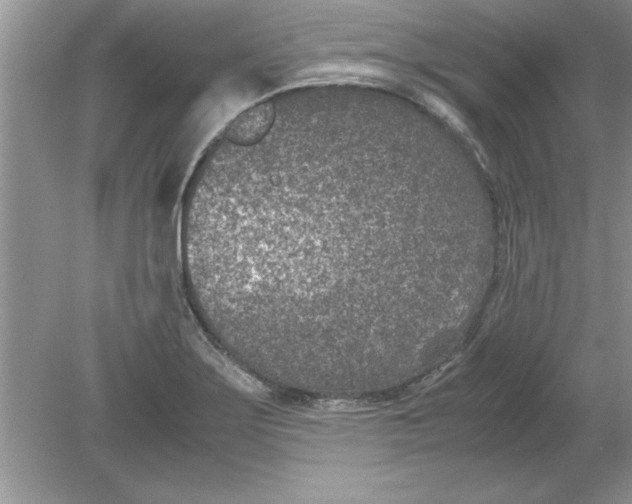 X0000078881275200612042015