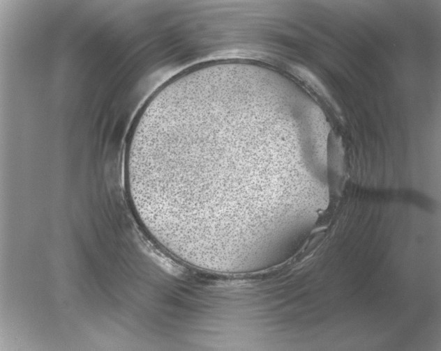 X0000078881276200612042015