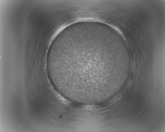 X0000078881279200612042014