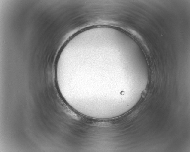 X0000078881280200612042014