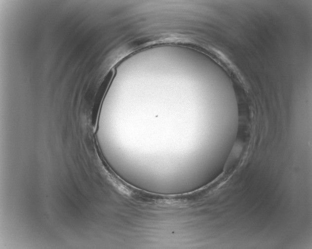 X0000078881281200612042014