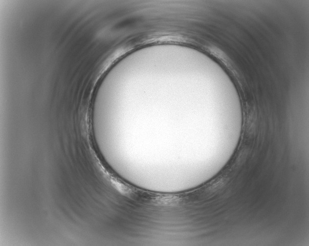 X0000078881282200612042014