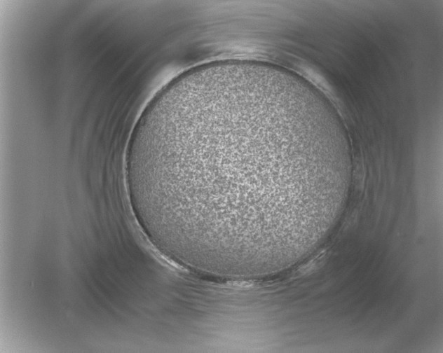 X0000078881283200612042014