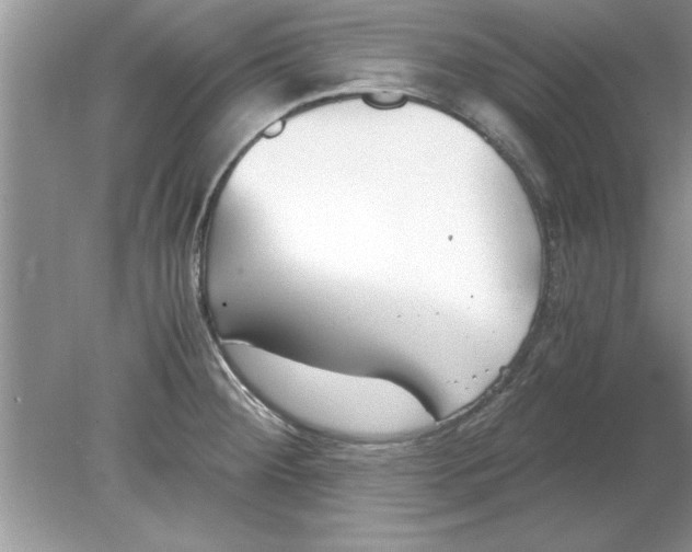 X0000078881284200612042014