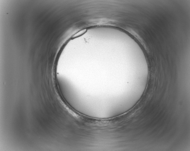 X0000078881285200612042014