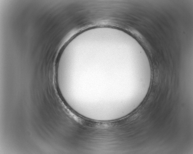 X0000078881286200612042014